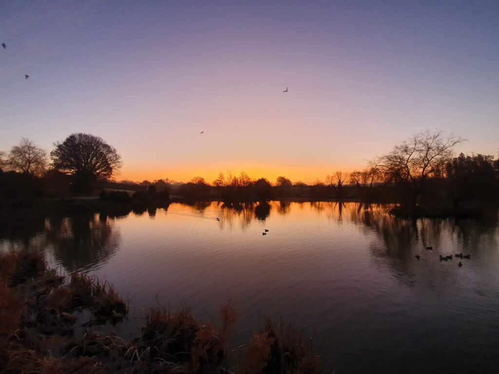 Hawkhurst Fish Farm (Cranbrook, Kent) Fishing Lake Day Ticket Lakes