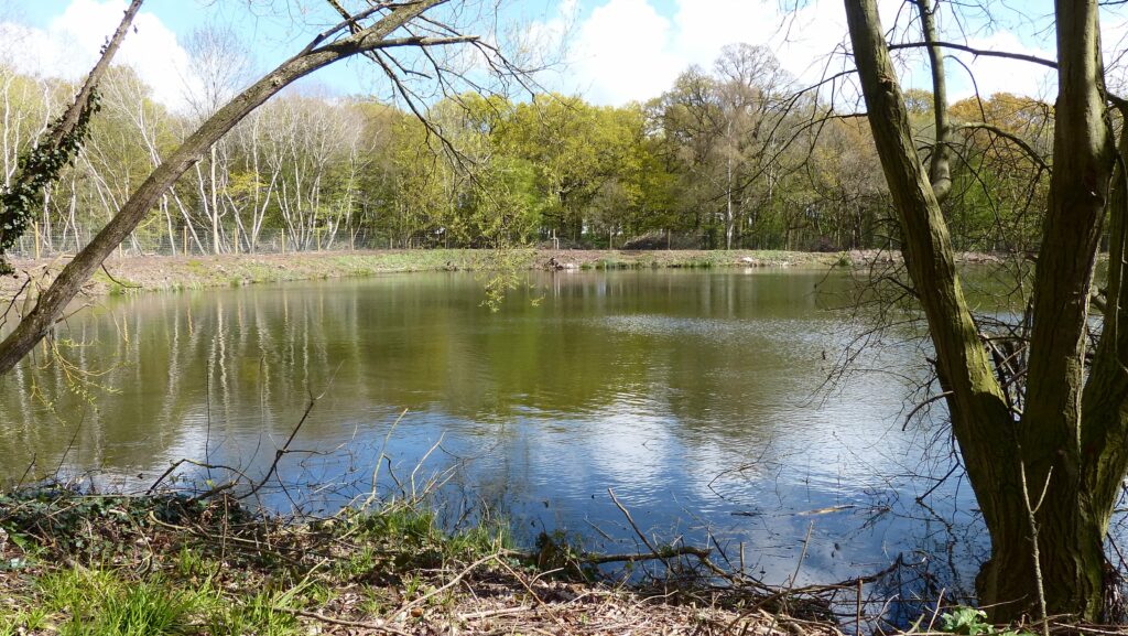 Tiptree Reservoir (Tiptree, Essex) Fishing Lake Day Ticket Lakes