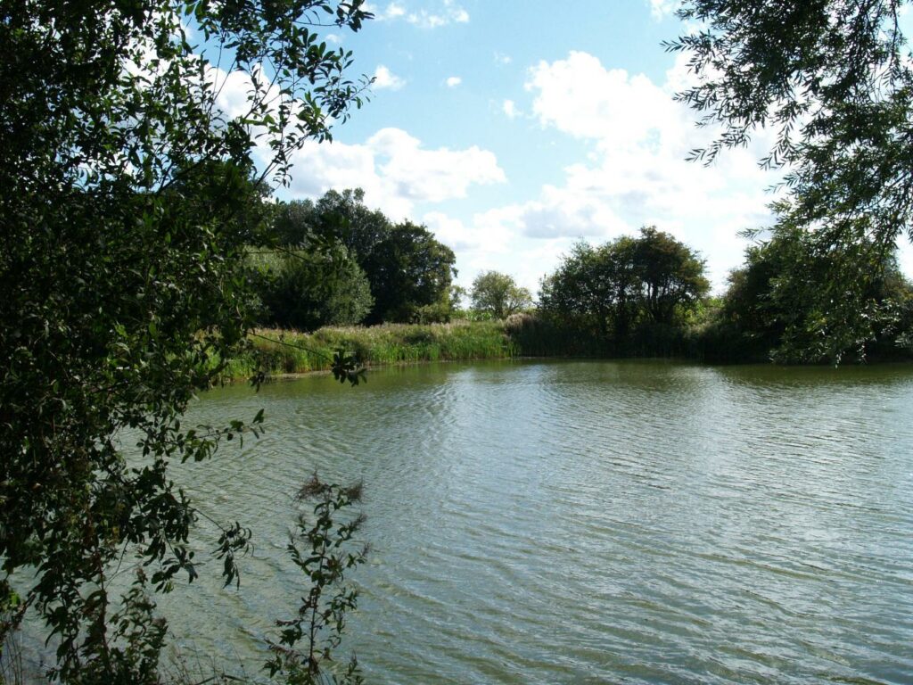 Dodds Farm Fishery (Basildon, Essex) Fishing Lake Day Ticket Lakes