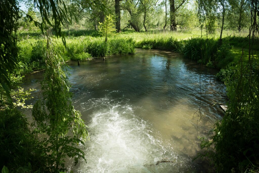 Denford Fishery (Hungerford, Berkshire) Fishing Lake - Day Ticket Lakes