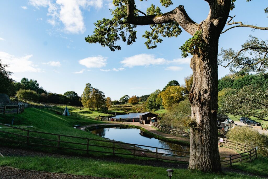 New Mills Trout Fishing Park (New Mills Trout, Cumbria) Fishing Park Day Ticket Lakes