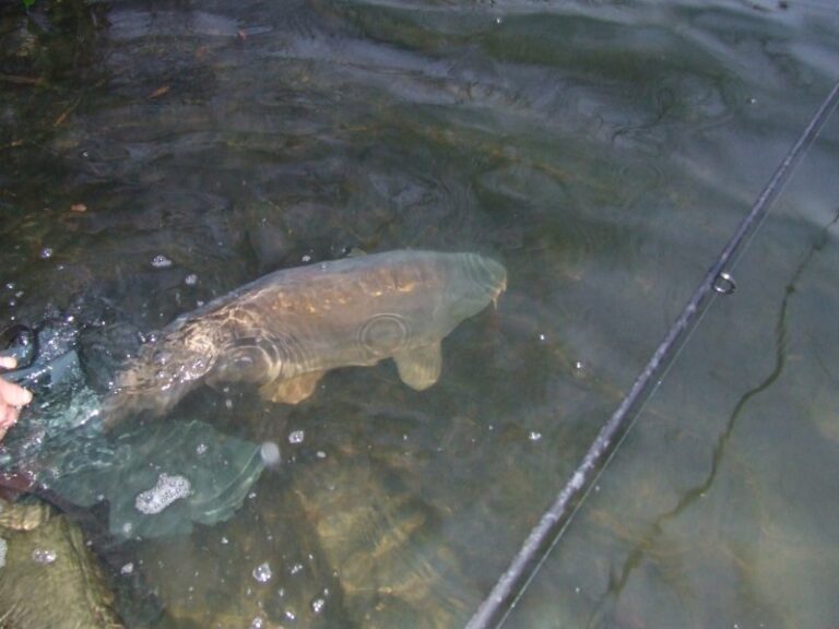 Yateley Sandhurst Lake (Hampshire) Day Ticket Lakes
