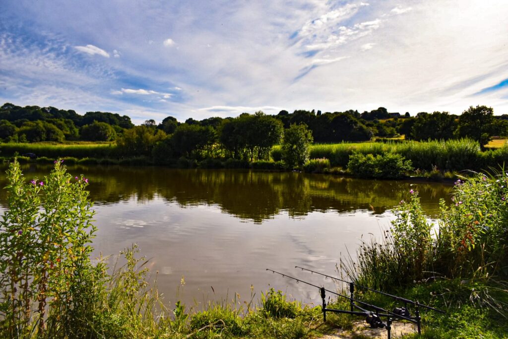 Dayhouse Farm Fishery (Romsley, West Midlands) Day Ticket Lakes