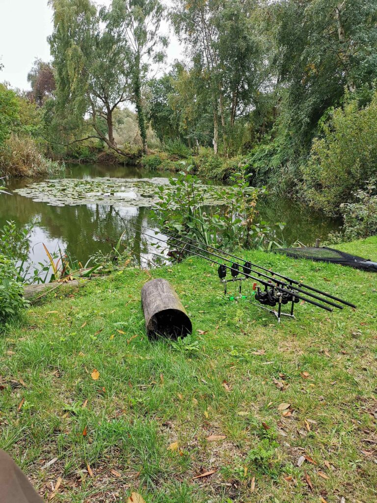 Burgh Castle Fisheries Day Ticket Lakes